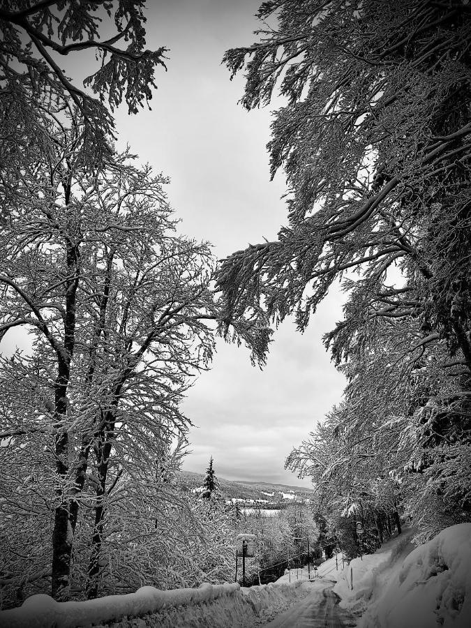 Hotel De Ville Du Sentier Le Sentier Bagian luar foto